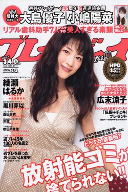 兄弟之生死同盟简介